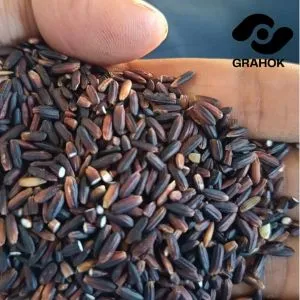 Black Rice ( কালো চাল ) - ৫ কেজি